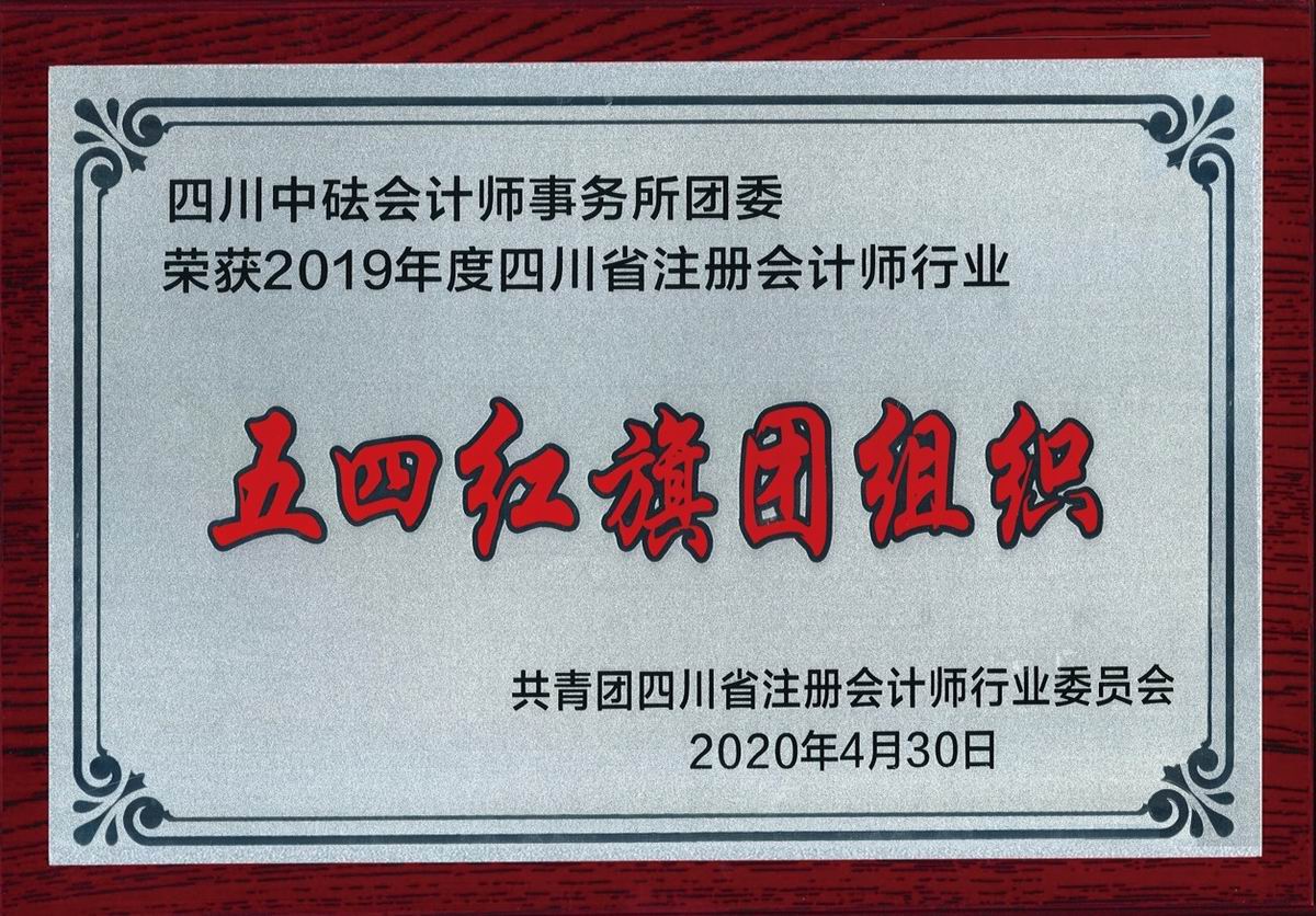 2019年度四川省注冊會計師行業“五四紅旗團組織”