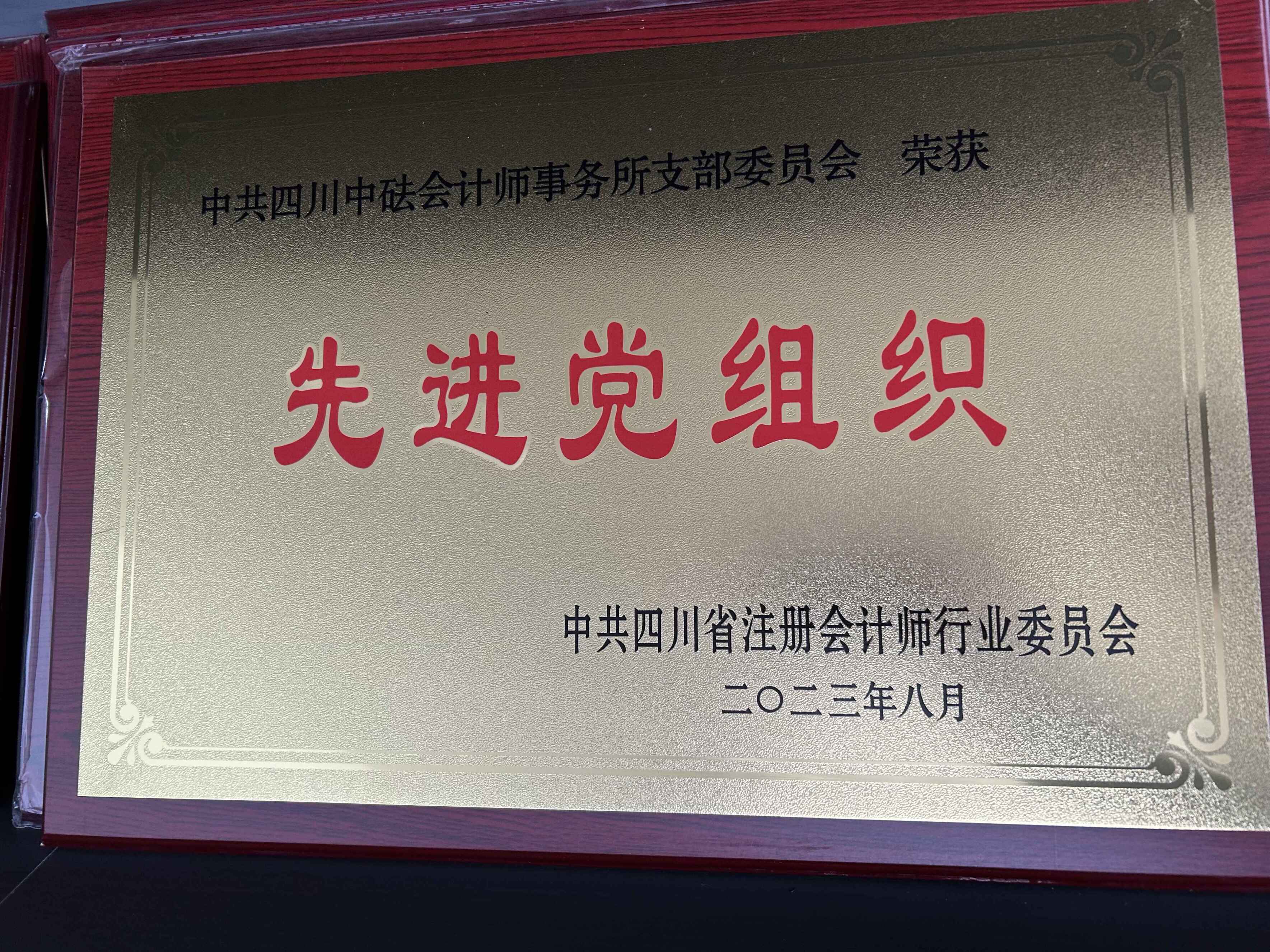 2023年先進黨組織—中共四川省注冊會計師行業委員會